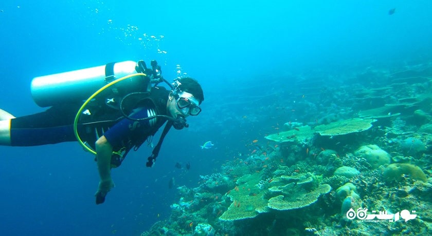 سرگرمی غواصی در لنکاوی شهر مالزی کشور لنکاوی