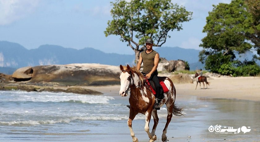 سرگرمی اسب سواری در لنکاوی شهر مالزی کشور لنکاوی