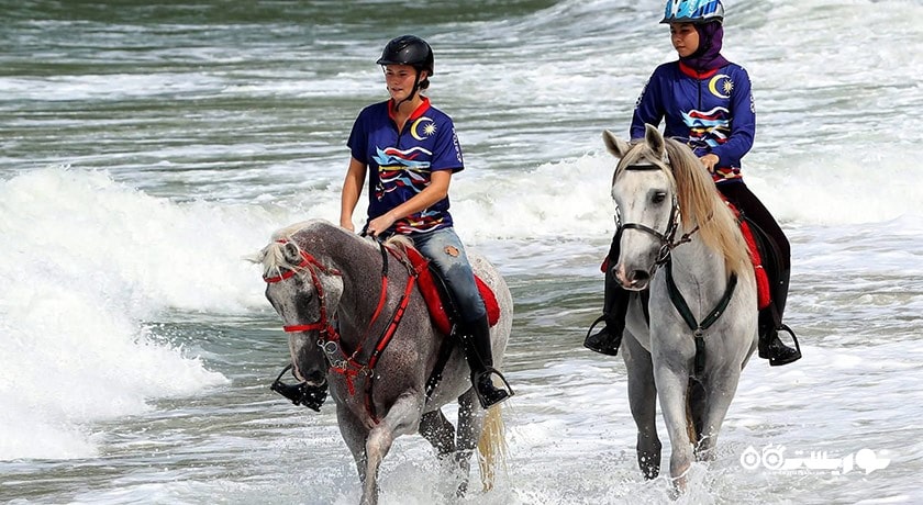 سرگرمی اسب سواری در لنکاوی شهر مالزی کشور لنکاوی