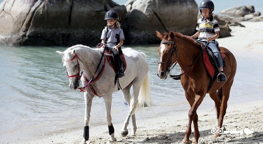 سرگرمی اسب سواری در لنکاوی شهر مالزی کشور لنکاوی