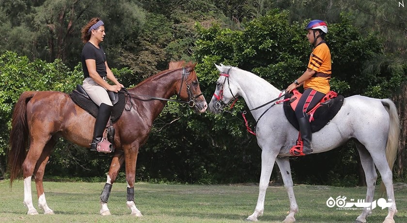 سرگرمی اسب سواری در لنکاوی شهر مالزی کشور لنکاوی