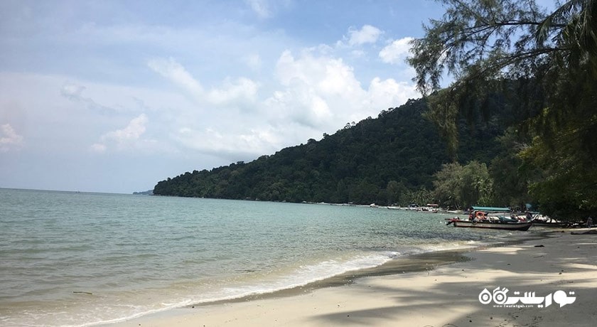 سرگرمی ساحل میمون شهر مالزی کشور پنانگ