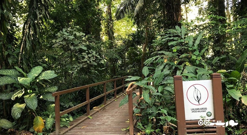 سرگرمی باغ های گیاه شناسی پنانگ شهر مالزی کشور پنانگ