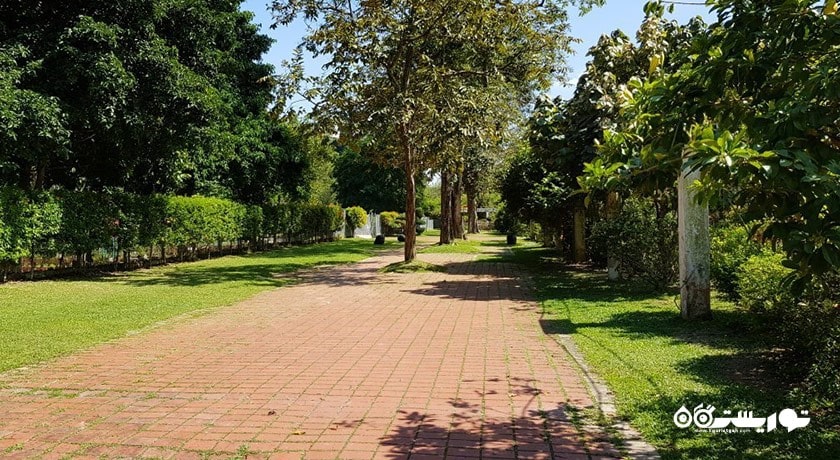 سرگرمی باغ های گیاه شناسی پنانگ شهر مالزی کشور پنانگ