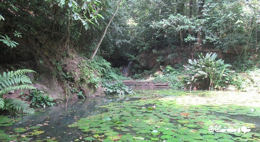 سرگرمی باغ های گیاه شناسی پنانگ شهر مالزی کشور پنانگ