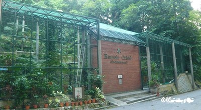 باغ های گیاه شناسی پنانگ -  شهر پنانگ