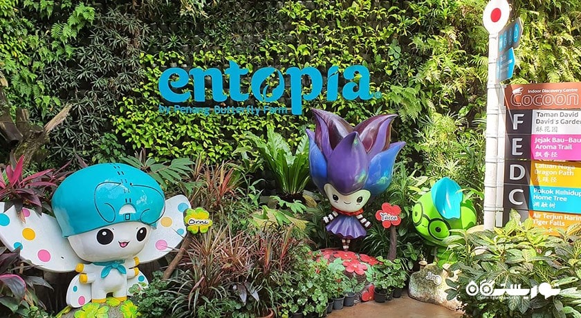 سرگرمی مزرعه پروانه پنانگ شهر مالزی کشور پنانگ