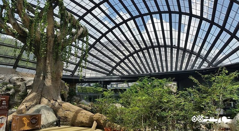 سرگرمی مزرعه پروانه پنانگ شهر مالزی کشور پنانگ