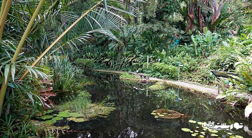 باغ ادویه های گرمسیری پنانگ -  شهر پنانگ