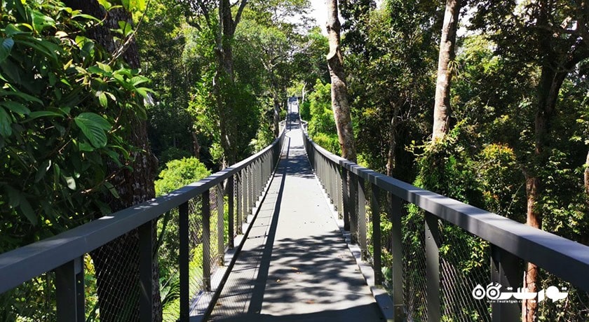 سرگرمی زیستگاه تپه پنانگ شهر مالزی کشور پنانگ