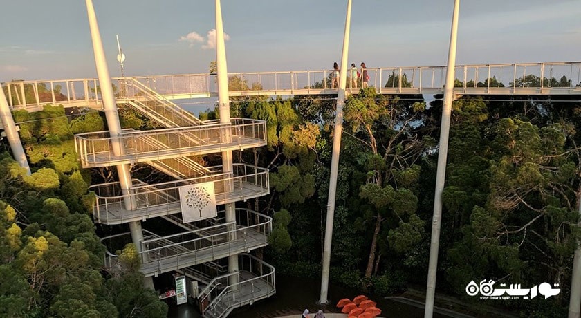 سرگرمی زیستگاه تپه پنانگ شهر مالزی کشور پنانگ