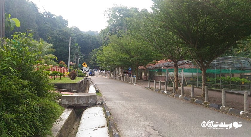 سرگرمی جنگل تفریحی بوکیت مرتاجام شهر مالزی کشور پنانگ