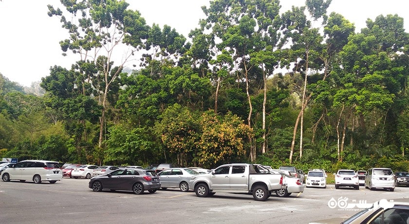 سرگرمی جنگل تفریحی بوکیت مرتاجام شهر مالزی کشور پنانگ