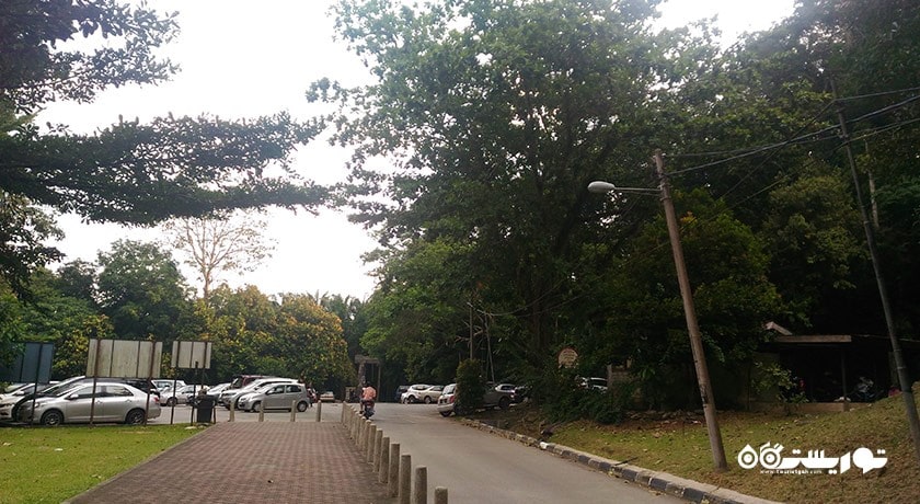 سرگرمی جنگل تفریحی بوکیت مرتاجام شهر مالزی کشور پنانگ