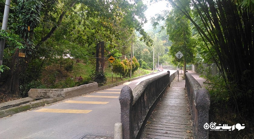 جنگل تفریحی بوکیت مرتاجام -  شهر پنانگ