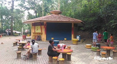 سرگرمی جنگل تفریحی بوکیت مرتاجام شهر مالزی کشور پنانگ