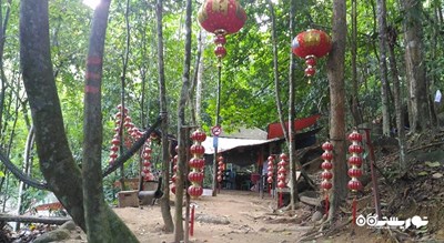 سرگرمی جنگل تفریحی بوکیت مرتاجام شهر مالزی کشور پنانگ