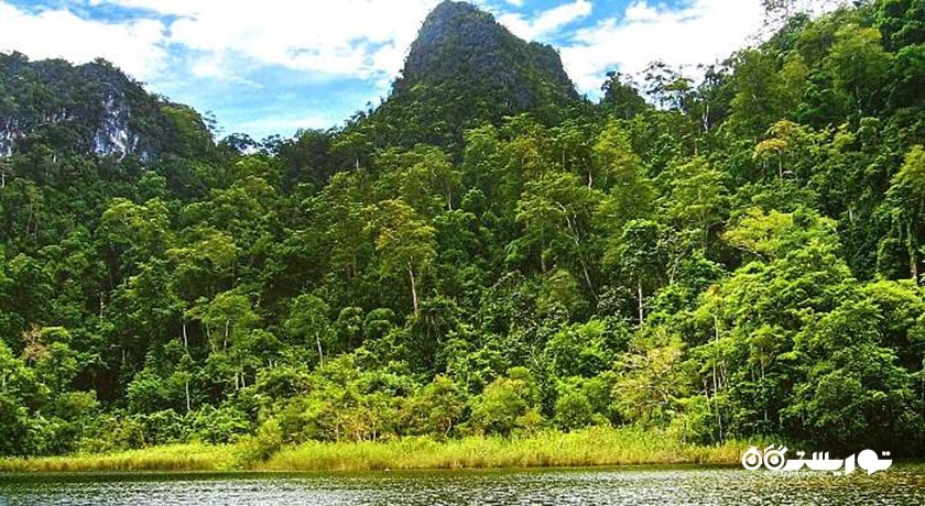 سرگرمی پارک طبیعت سونگای کیلیم شهر مالزی کشور لنکاوی