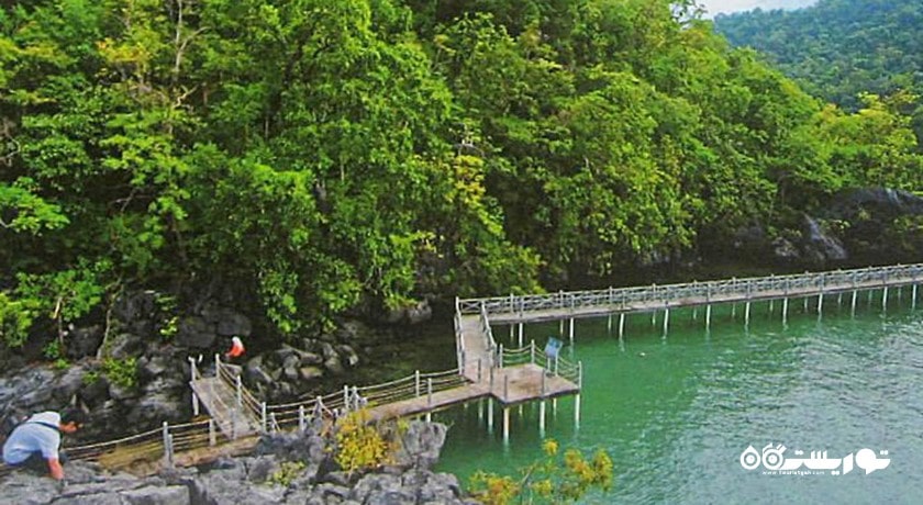 سرگرمی پارک طبیعت سونگای کیلیم شهر مالزی کشور لنکاوی