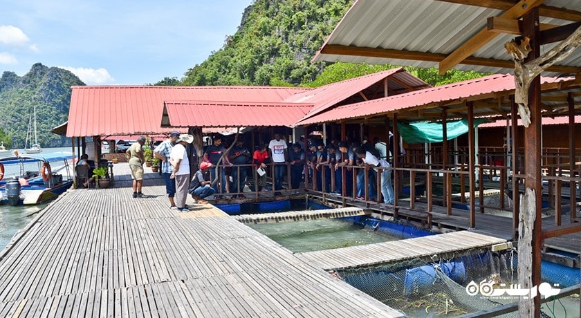 سرگرمی مزرعه ماهی شناور شهر مالزی کشور لنکاوی