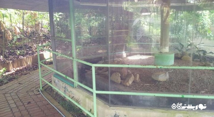 سرگرمی پناهگاه مار لنکاوی شهر مالزی کشور لنکاوی