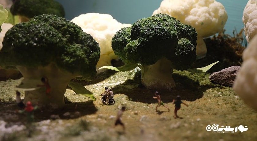  موز غذی شگفت انگیز پنانگ شهر مالزی کشور پنانگ