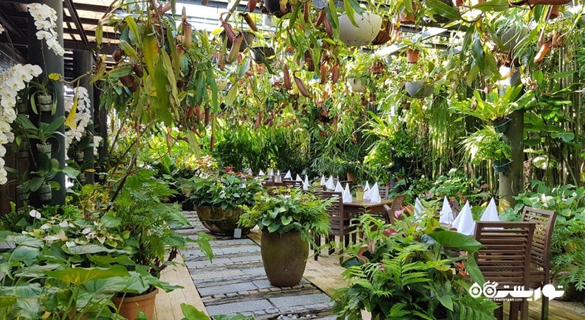 رستوران رستوران فرینگی گاردن شهر پنانگ 