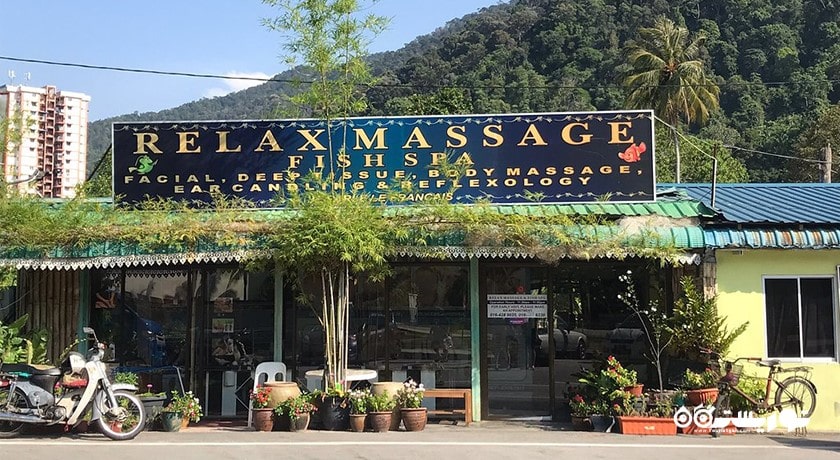 سرگرمی رفلکسولوژی پا و اسپای ماهی در پنانگ شهر مالزی کشور پنانگ