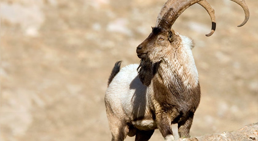  منطقه حفاظت شده جاجرود شهرستان تهران استان تهران