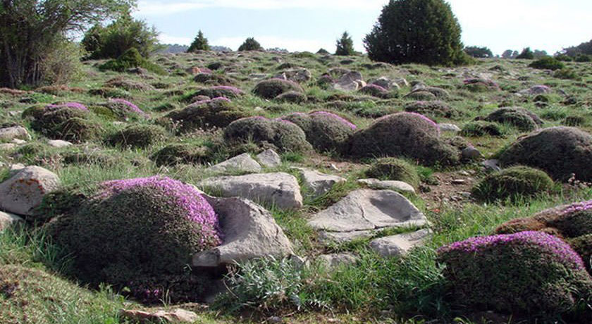  منطقه حفاظت شده جاجرود شهرستان تهران استان تهران