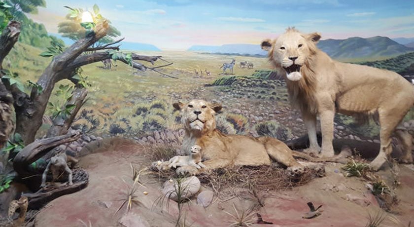  موزه آثار طبیعی و حیات وحش هفت چنار شهرستان تهران استان تهران