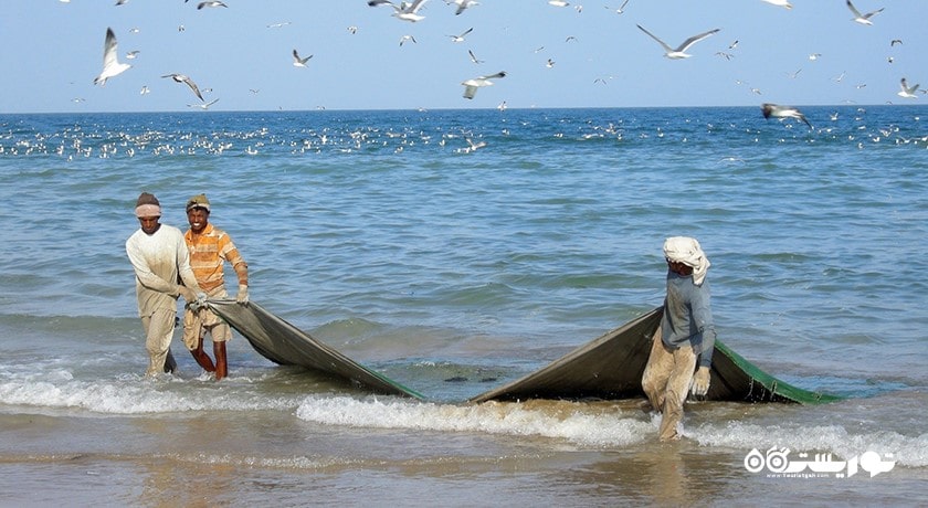  خلیج فارس شهر قطر کشور دوحه