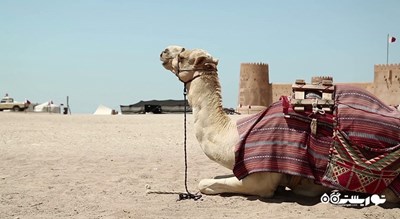 سرگرمی سفر به قلعه الزوباره شهر قطر کشور دوحه