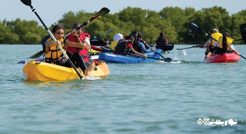 سرگرمی کایاک سواری در جنگل های حرای التکیرا شهر قطر کشور دوحه