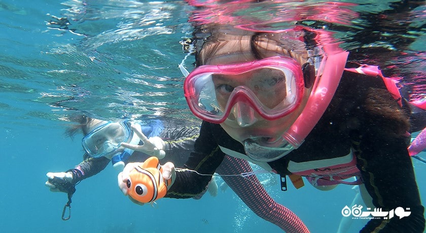 سرگرمی غواصی بدون تجهیزات در دوحه شهر قطر کشور دوحه