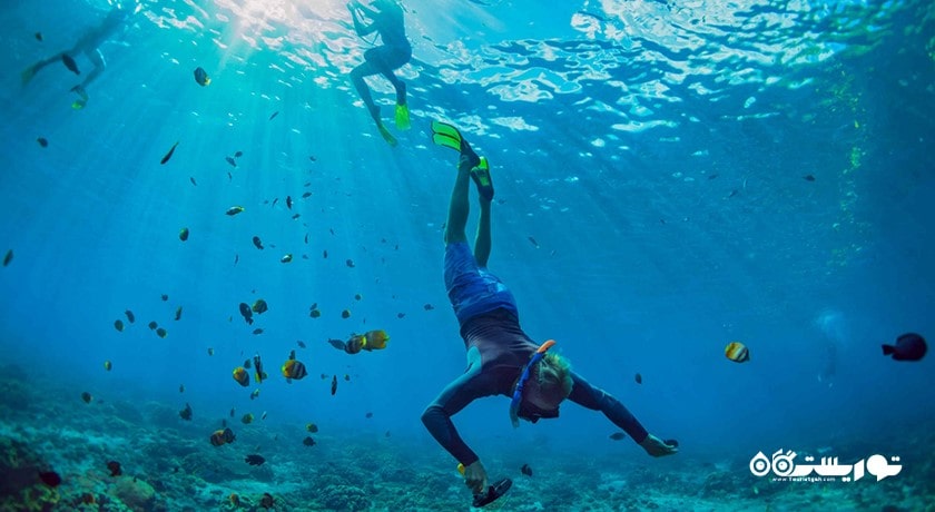 سرگرمی غواصی بدون تجهیزات در دوحه شهر قطر کشور دوحه