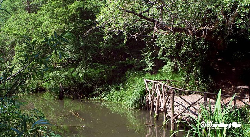 سرگرمی باغ گیاه شناسی اکو پارک شهر بلغارستان کشور وارنا