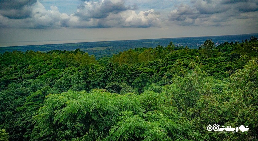 سرگرمی باغ گیاه شناسی اکو پارک شهر بلغارستان کشور وارنا