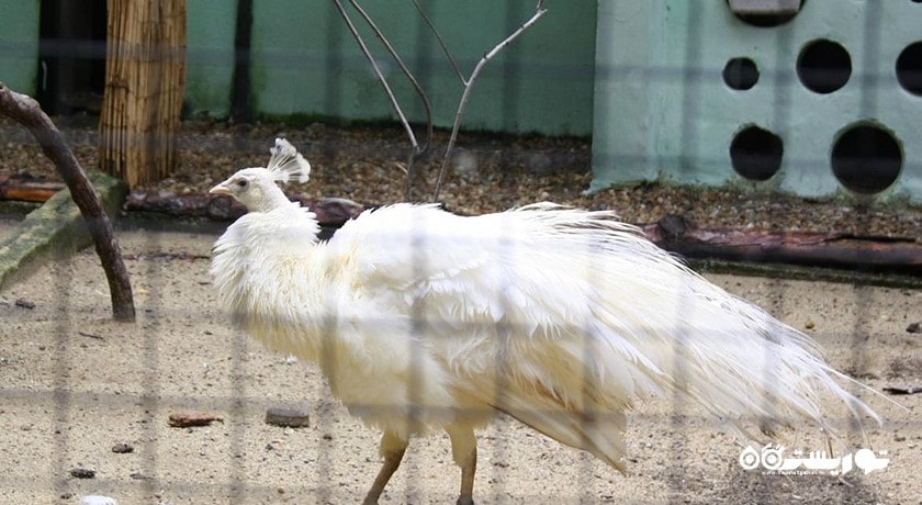 سرگرمی زو پارک وارنا شهر بلغارستان کشور وارنا