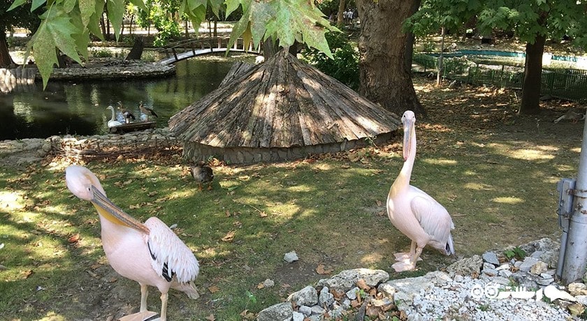 سرگرمی زو پارک وارنا شهر بلغارستان کشور وارنا