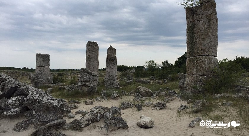 جنگل سنگی -  شهر وارنا