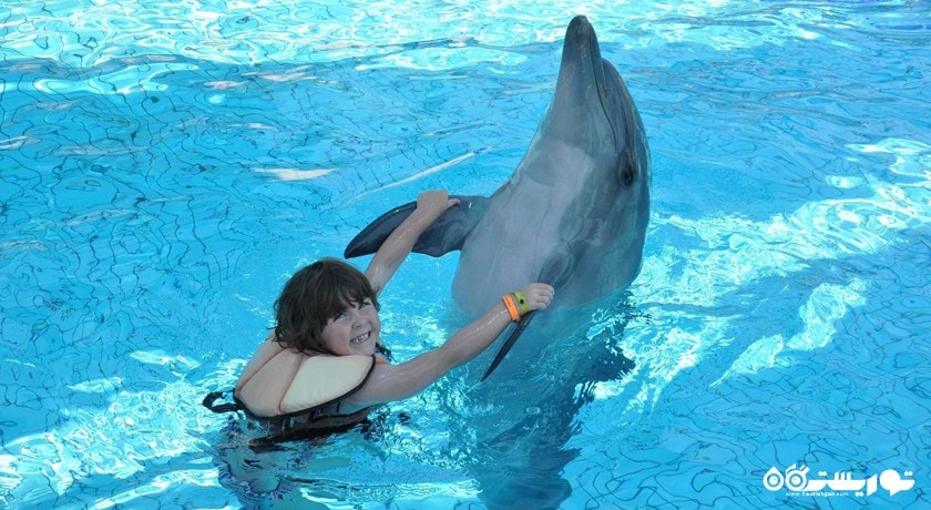 سرگرمی پارک دلفین آدالند شهر ترکیه کشور کوش آداسی