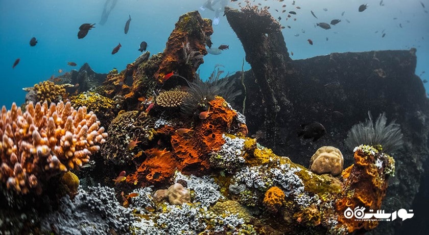 دهکده تولامبن -  شهر بالی