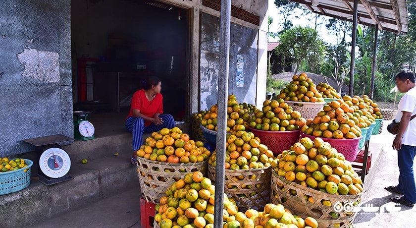 دهکده سیدمن -  شهر بالی