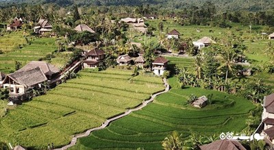  دهکده سیدمن شهر اندونزی کشور بالی