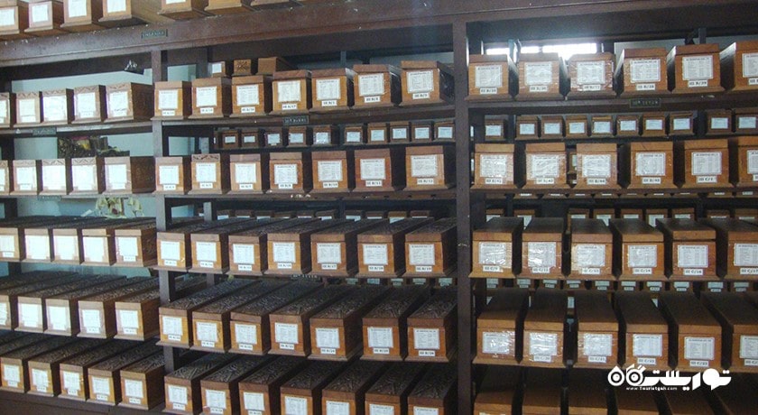  موزه گدونگ کرتیا شهر اندونزی کشور بالی