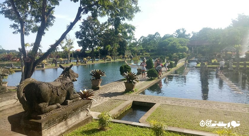 باغ آبی سلطنتی تیرتا گانگا -  شهر بالی