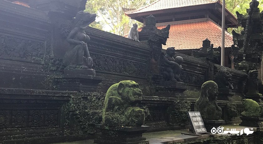 جنگل میمون های اوبود -  شهر بالی