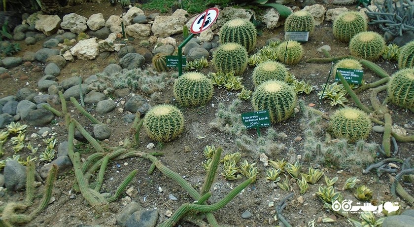 باغ گیاه شناسی بالی -  شهر بالی