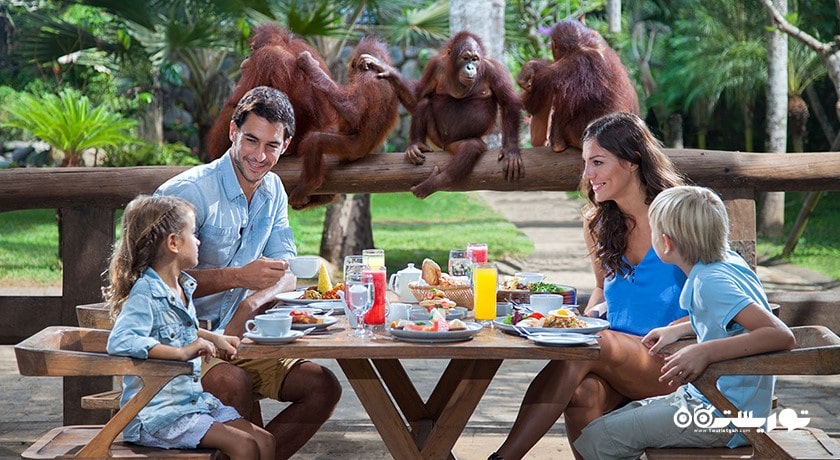 سرگرمی باغ وحش بالی شهر اندونزی کشور بالی